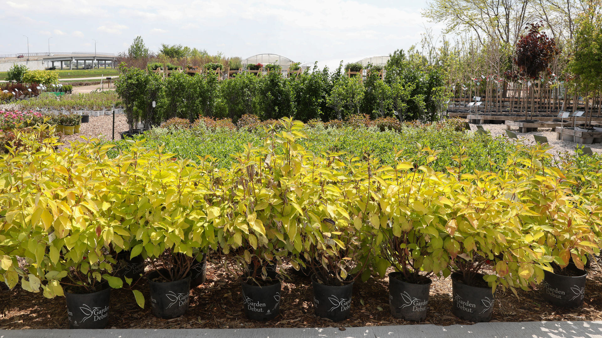 Steinbrink Landscaping & Greenhouses